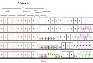 planograma con texto