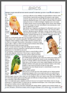 Adobe indesign ceñir texto