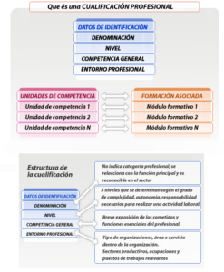 Estructura cualificación profesional